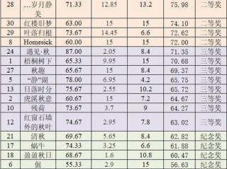 足球杯赛程表，节奏之美的诗意编排
