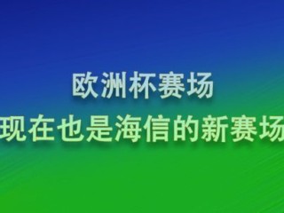 欧洲杯决赛，荣耀之夜，足球不眠