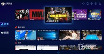 NBA免费直播高清观看，畅享顶级篮球盛宴的最佳指南