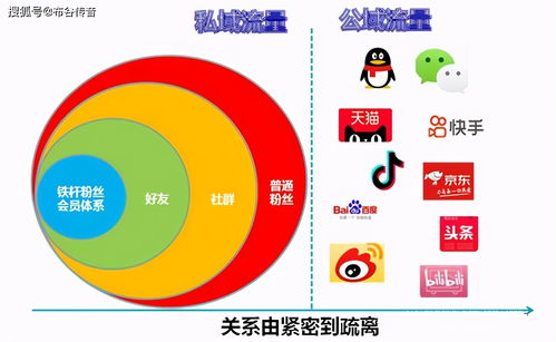 权威信源与用户体验的平衡之道，解析华体网官方版的价值与使用指南