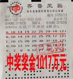 彩票迷思与理性之光，警惕一定牛彩票网背后的诱惑