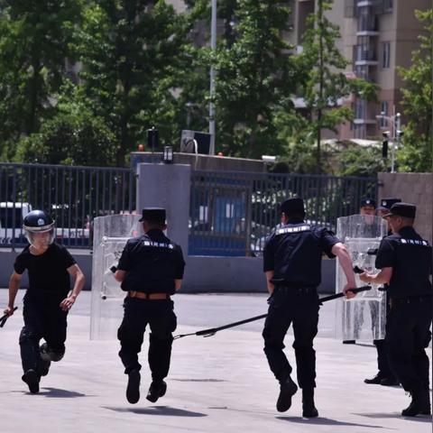 中国十大篮球鞋品牌排行榜,实战与潮流的巅峰对决 中国十大篮球鞋品牌排行榜,实战与潮流的巅峰对决