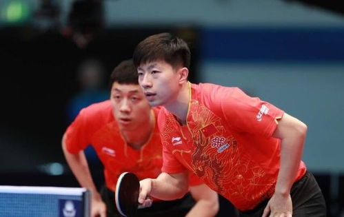2026年乒乓球最新比赛规则全解析,变革与挑战 2026年乒乓球最新比赛规则全解析,变革与挑战