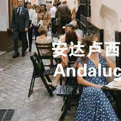 橙色的荣光,2010年南非世界杯冠军西班牙的加冕之路 橙色的荣光,2010年南非世界杯冠军西班牙的加冕之路