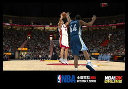 声音里的热血，于嘉与NBA十佳球的二十年